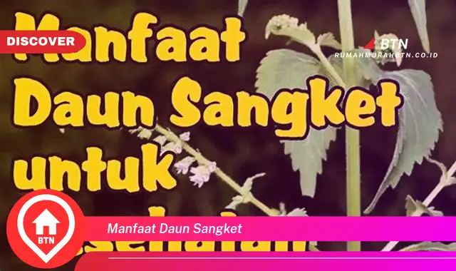 manfaat daun sangket