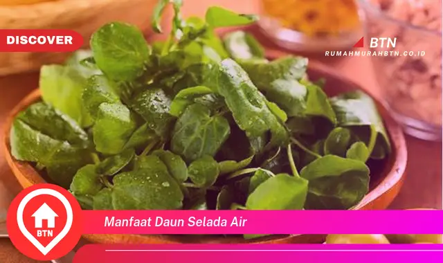 manfaat daun selada air