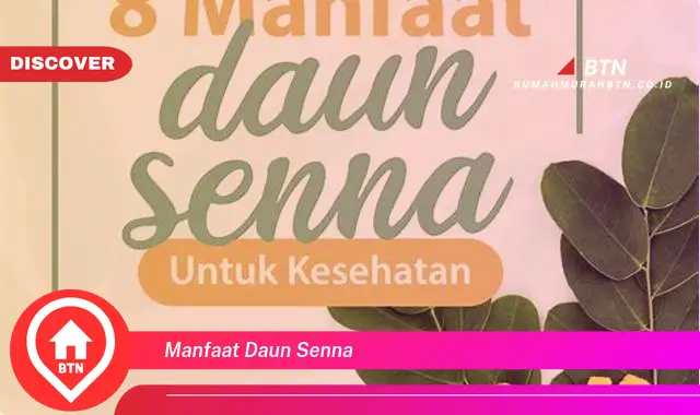 manfaat daun senna