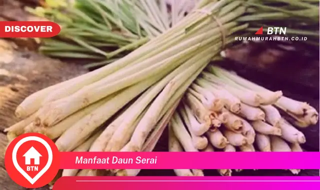 manfaat daun serai