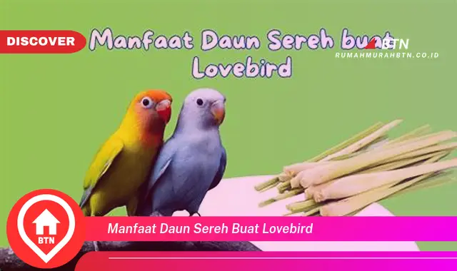 manfaat daun sereh buat lovebird