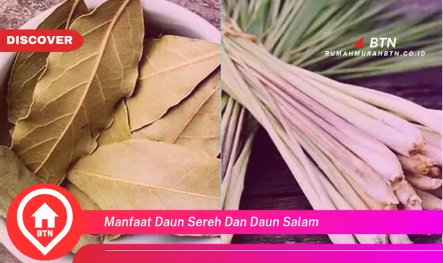 manfaat daun sereh dan daun salam