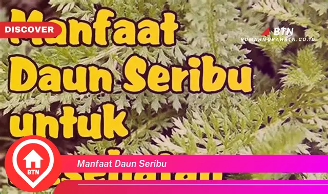 manfaat daun seribu