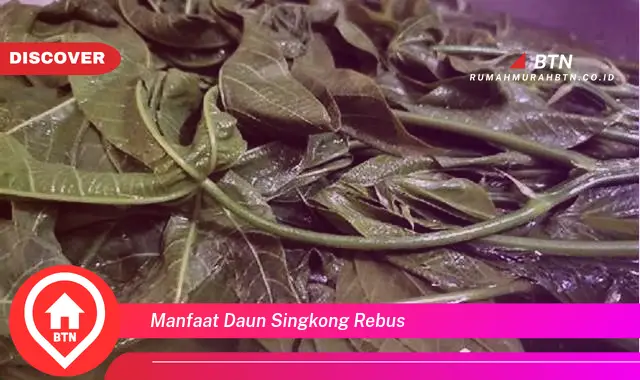 manfaat daun singkong rebus