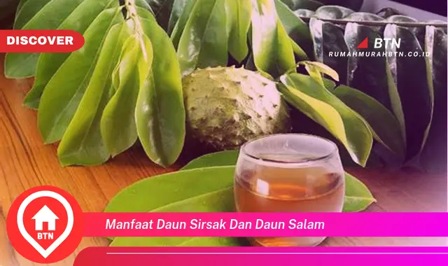 manfaat daun sirsak dan daun salam