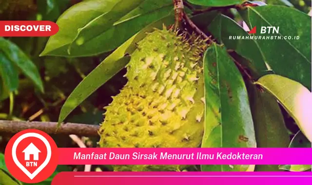 manfaat daun sirsak menurut ilmu kedokteran