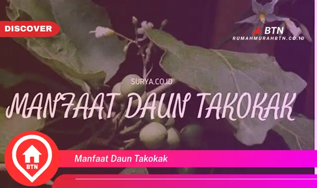 manfaat daun takokak