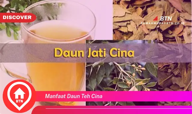 manfaat daun teh cina