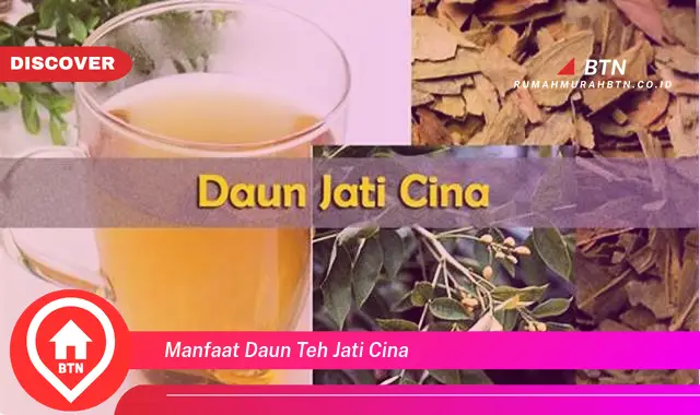 manfaat daun teh jati cina