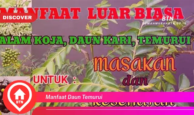 manfaat daun temurui