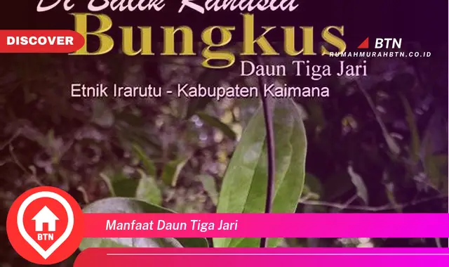 manfaat daun tiga jari