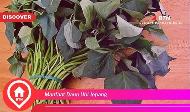 manfaat daun ubi jepang