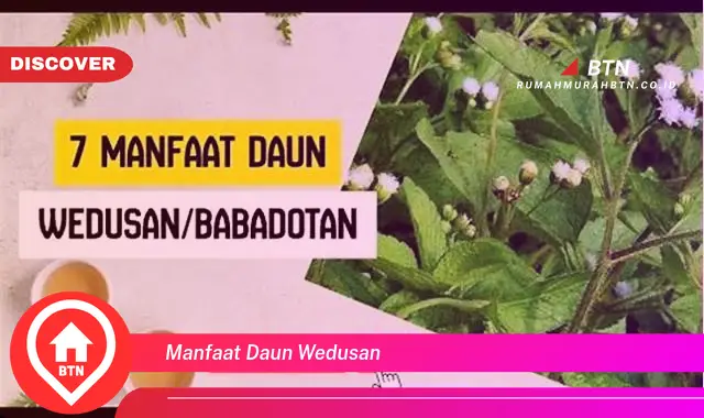 manfaat daun wedusan