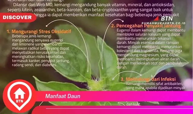 manfaat daun