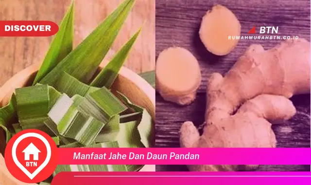 manfaat jahe dan daun pandan