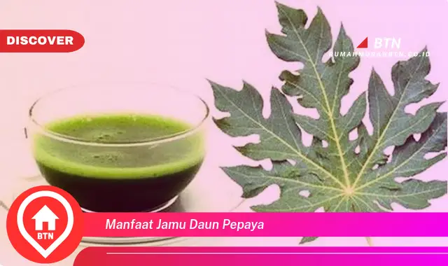 manfaat jamu daun pepaya