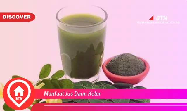 manfaat jus daun kelor