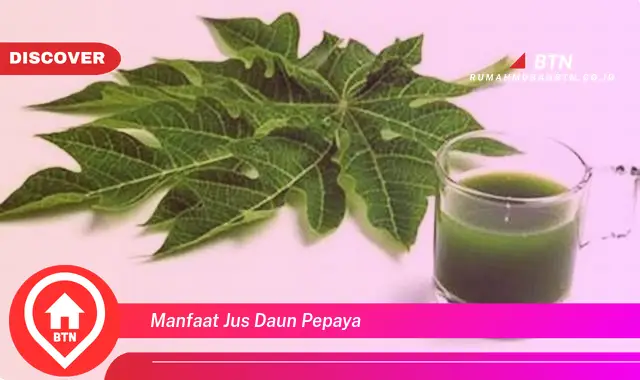 manfaat jus daun pepaya