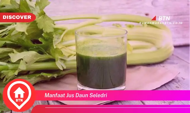 manfaat jus daun seledri