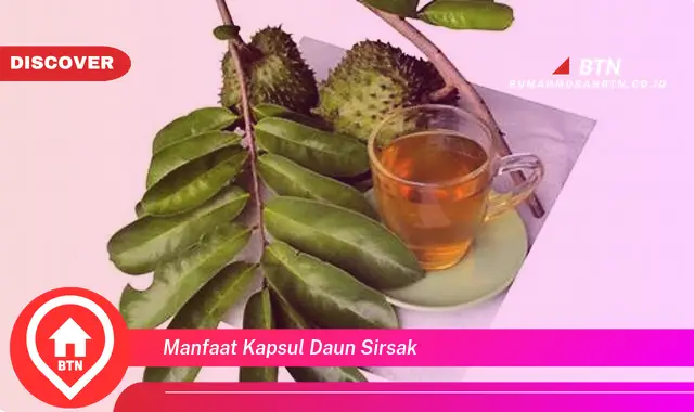 manfaat kapsul daun sirsak