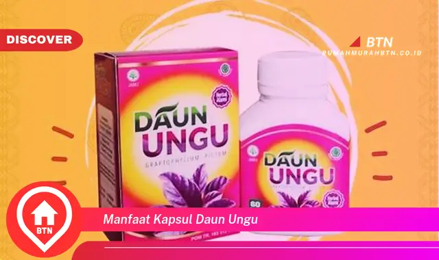 manfaat kapsul daun ungu