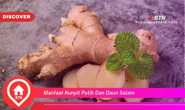 manfaat kunyit putih dan daun salam