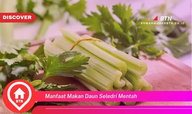 manfaat makan daun seledri mentah