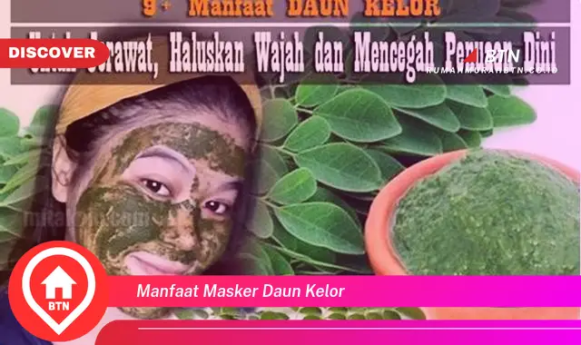 manfaat masker daun kelor