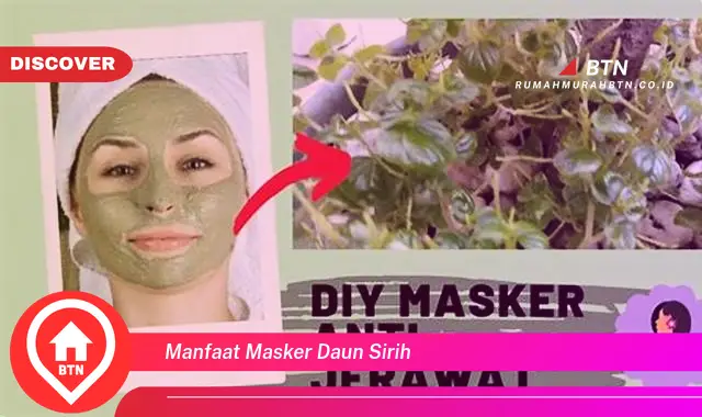 manfaat masker daun sirih