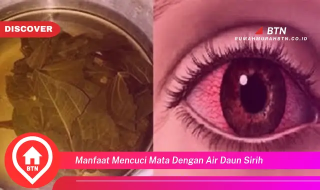 manfaat mencuci mata dengan air daun sirih