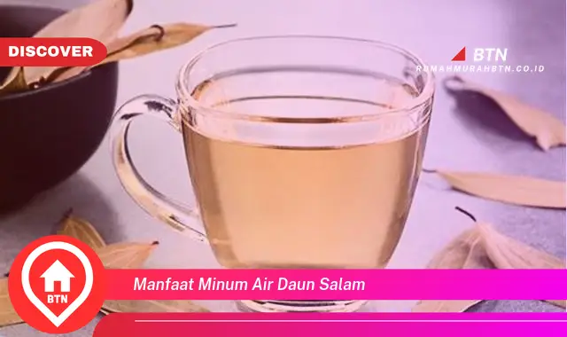 manfaat minum air daun salam