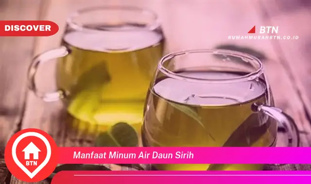 manfaat minum air daun sirih