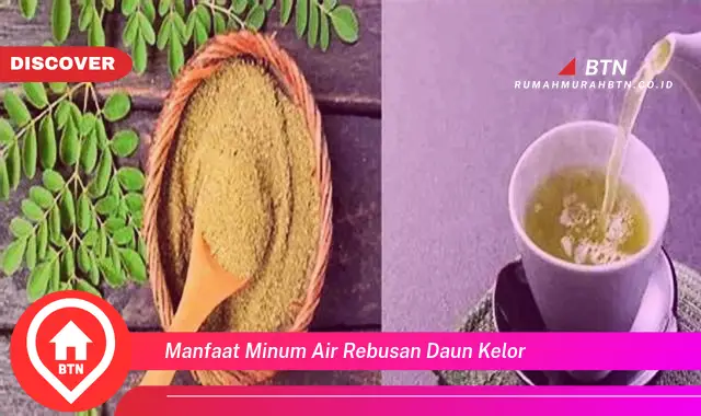 manfaat minum air rebusan daun kelor