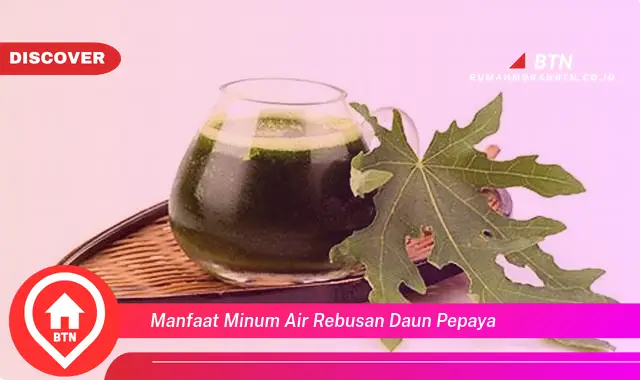 manfaat minum air rebusan daun pepaya