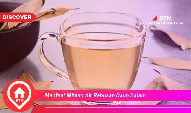 manfaat minum air rebusan daun salam