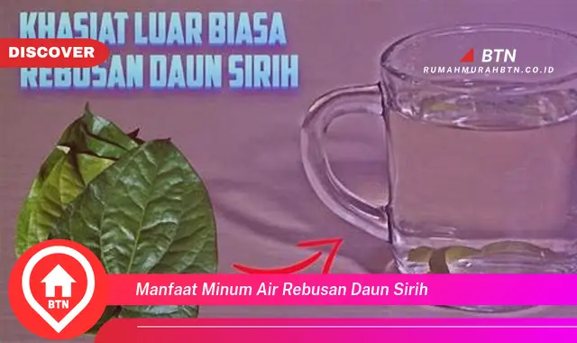 manfaat minum air rebusan daun sirih