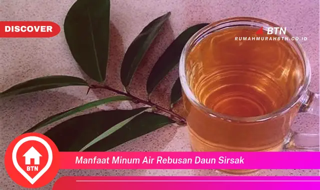 manfaat minum air rebusan daun sirsak