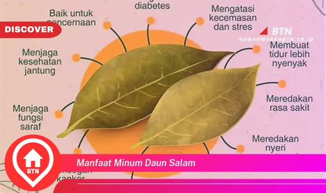 manfaat minum daun salam