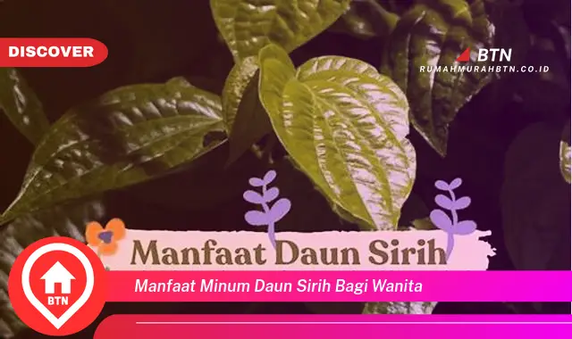 manfaat minum daun sirih bagi wanita