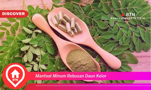 manfaat minum rebusan daun kelor