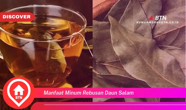 manfaat minum rebusan daun salam