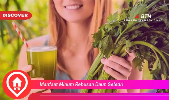 manfaat minum rebusan daun seledri