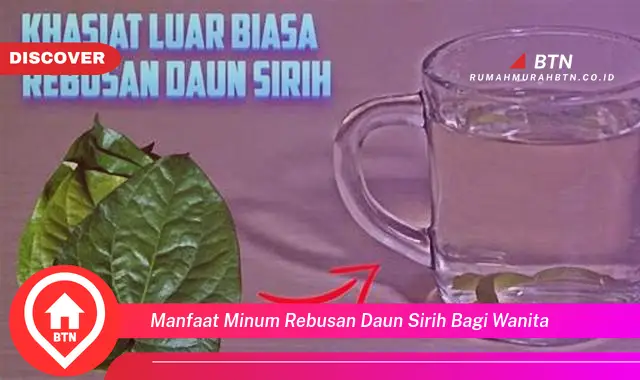 manfaat minum rebusan daun sirih bagi wanita