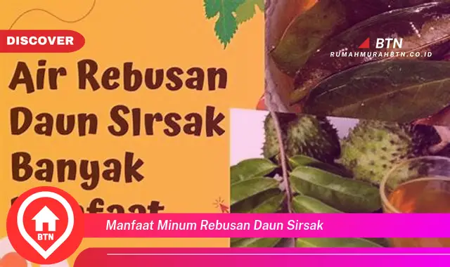 manfaat minum rebusan daun sirsak