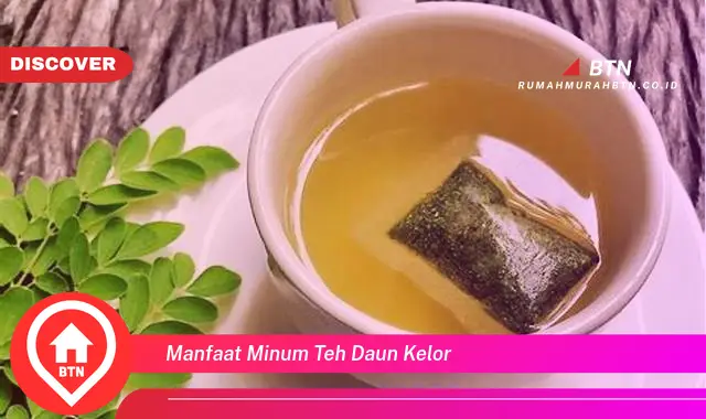 manfaat minum teh daun kelor