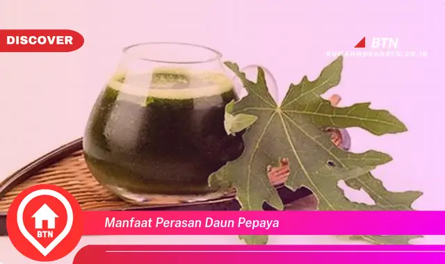 manfaat perasan daun pepaya