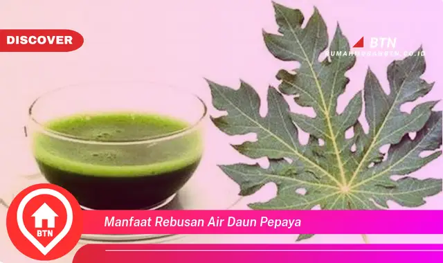 manfaat rebusan air daun pepaya