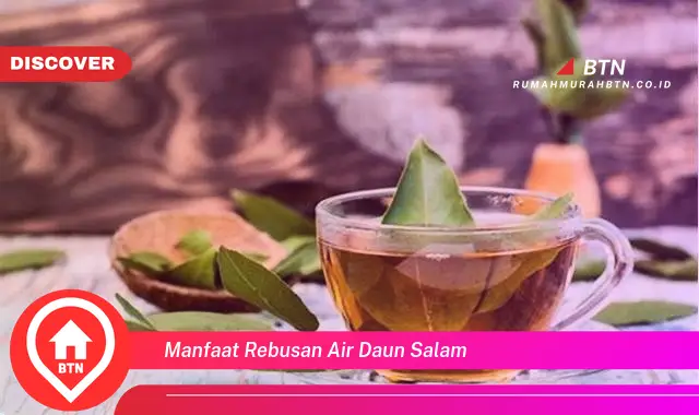 manfaat rebusan air daun salam