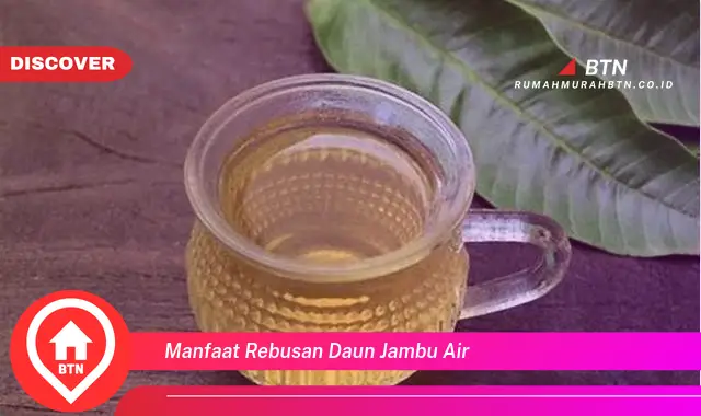 manfaat rebusan daun jambu air