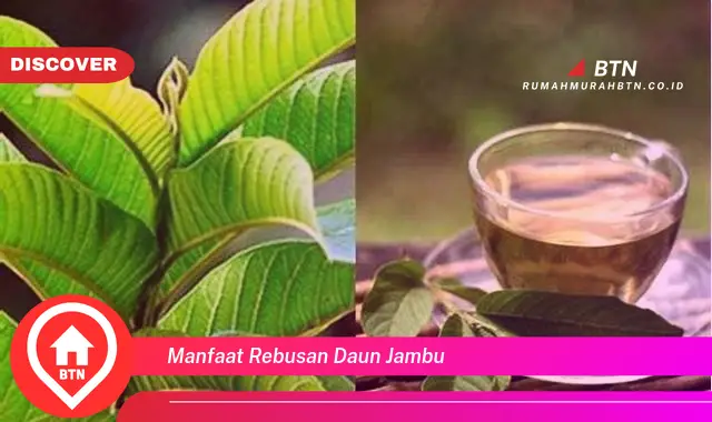 manfaat rebusan daun jambu